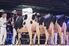 2016 Holland Holstein sHow