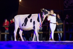 anne_rixt_de_haan_megasire_211