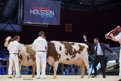 zeedieker_roseanna_advent_bons_holsteins_aaltje_94_talent_0571