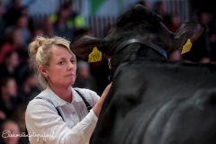 Els-Korsten-Fotografie0186