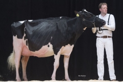 bons_holsteins_koba_219_lauthority_0097