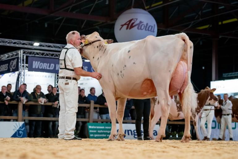 Fotoserie: kampioenen HHH-show in beeld