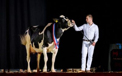 Video: kampioenen HHH-show passeren camera