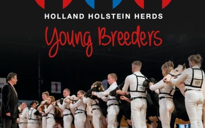 Catalogus Young Breeders Sale!